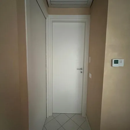 Il Delfino